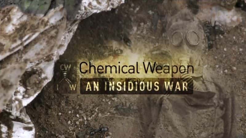 ¼Ƭѧһյս/Chemical Weapons: An Insidious War-Ļ