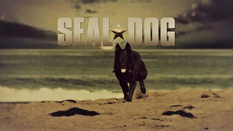 ¼ƬȮ/SEAL Dog-Ļ