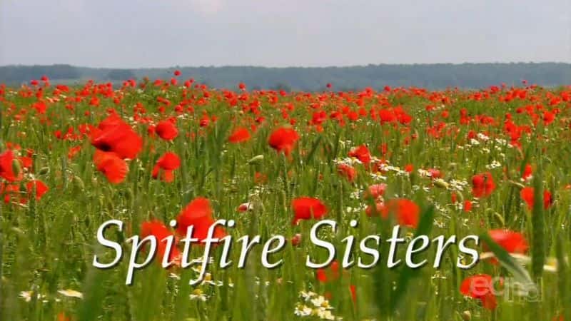 ¼Ƭ/Spitfire Sisters-Ļ