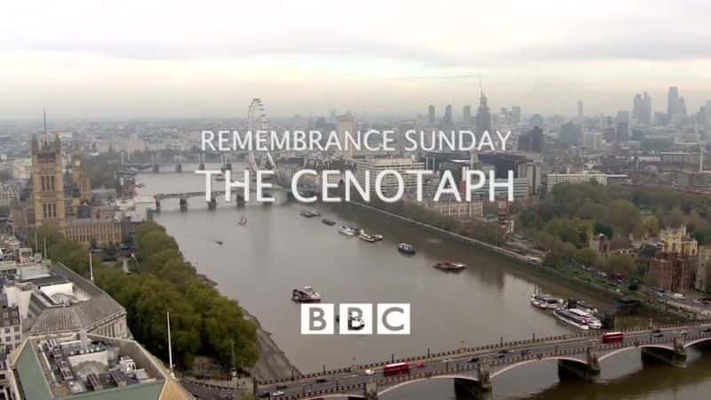 ¼Ƭգսʿ2014/Remembrance Sunday: The Cenotaph 2014-Ļ