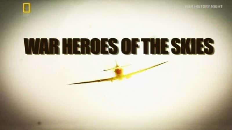 ¼ƬеսӢ/War Heroes Of The Skies-Ļ