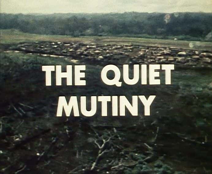 ¼Ƭже磺Ĭ/World in Action: The Quiet Mutiny-Ļ