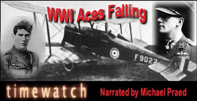 ¼Ƭһս׹/WW1 Aces Falling-Ļ