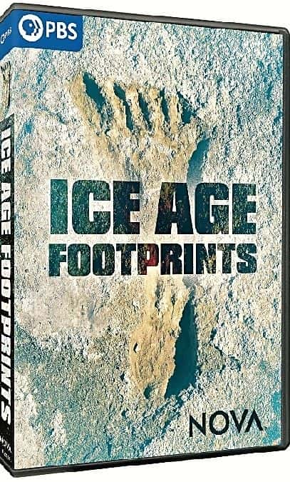 ¼ƬNOVAʱ㼣/NOVA: Ice Age Footprints-Ļ