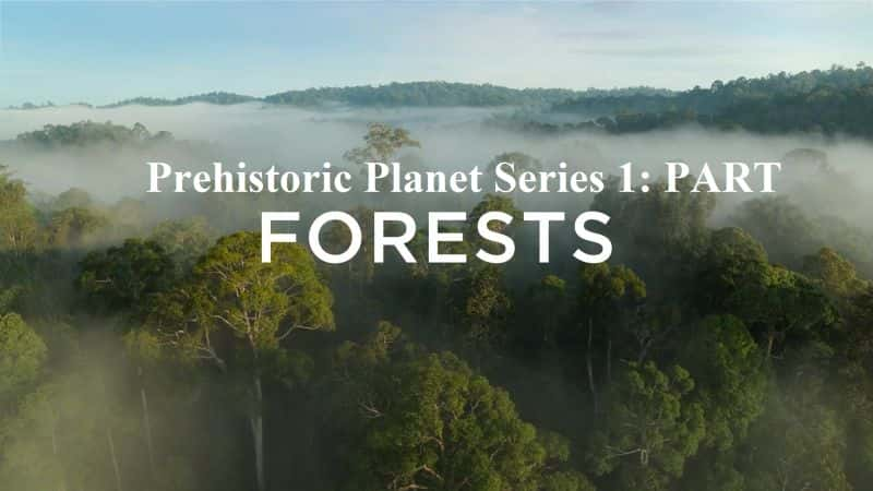 ¼Ƭʷǰɭ/Prehistoric Planet FORESTS-Ļ