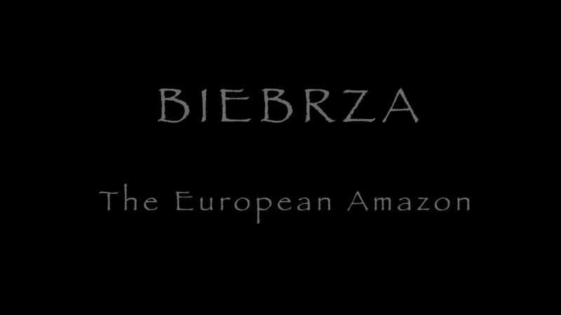 ¼ƬȰ - ŷ޵ѷ/Biebrza - The European Amazon-Ļ