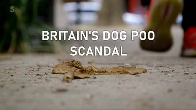 ¼ƬӢĹʺ/Britain's Dog Poo Scandal-Ļ