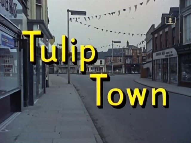 ¼Ƭ֮/Look at Life: Tulip Town-Ļ