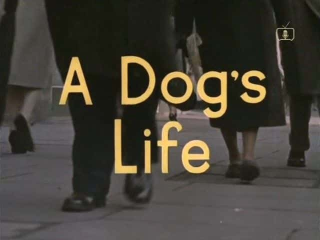 ¼Ƭ/Look at Life: A Dog's Life-Ļ