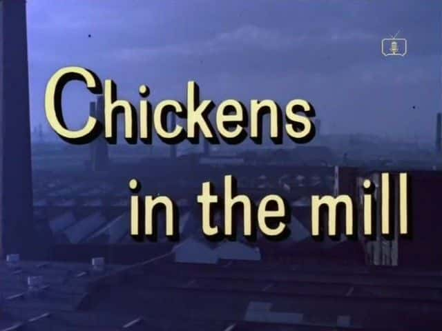 ¼Ƭĥļ/Look at Life: Chickens in the Mill-Ļ