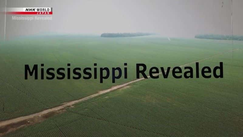 ¼ƬȽʾ/Mississippi Revealed-Ļ