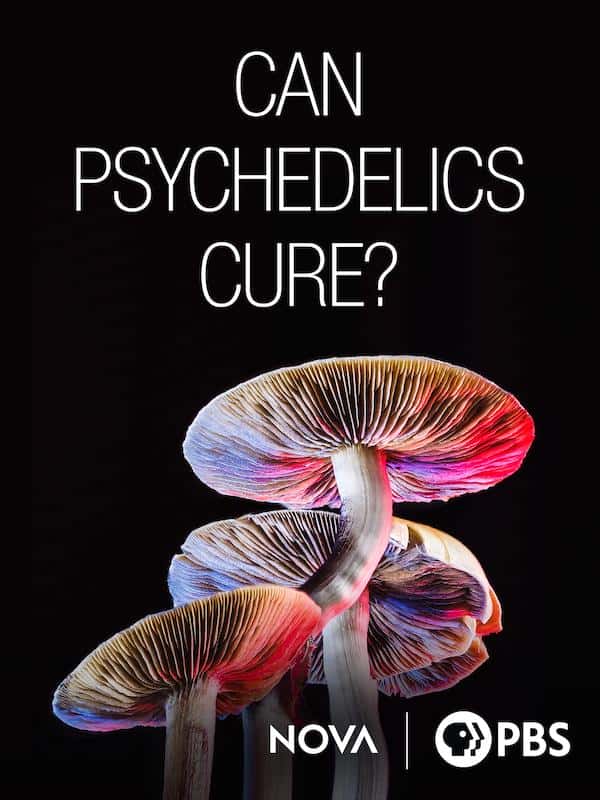 ¼ƬԻҩ/Can Psychedelics Cure?-Ļ