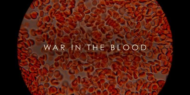 ¼ƬѪս War in the Bloodȫ1-Ļ/Ļ