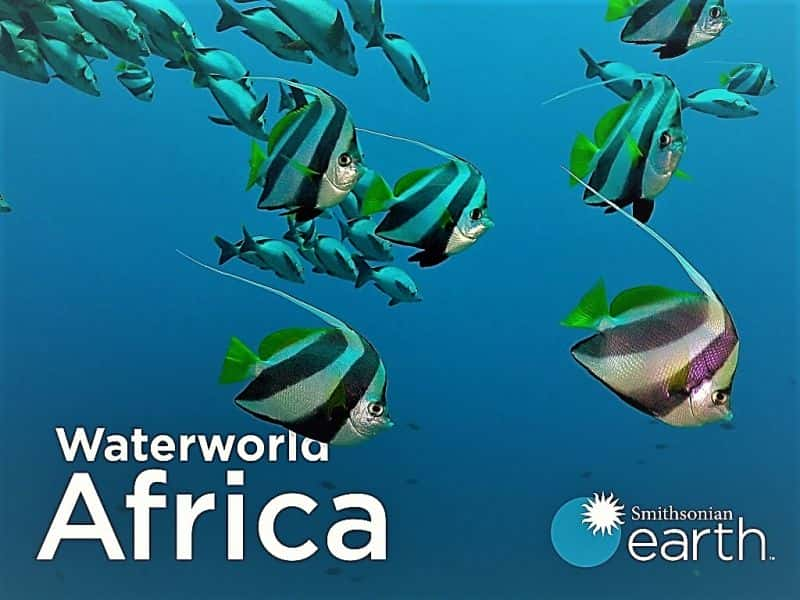 ¼Ƭˮ磺ϵ 1 Waterworld Africa: Series 1Ļ/Ļ