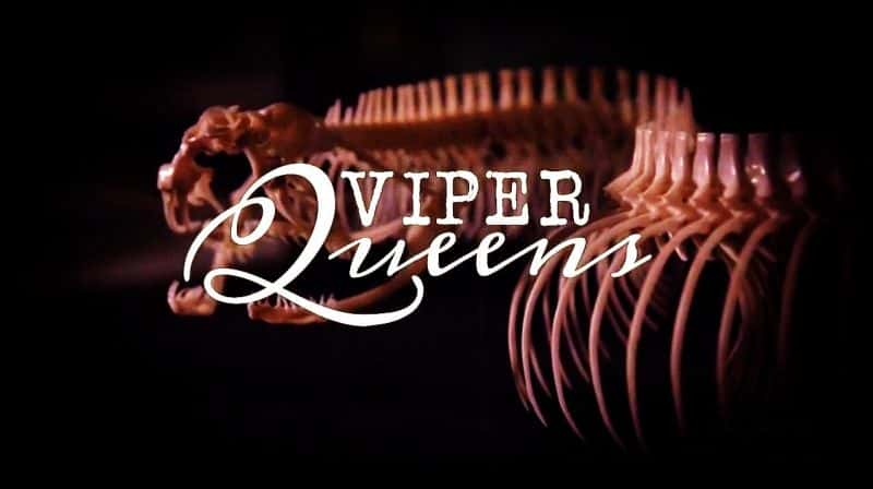 纪录片《毒蛇皇后 Viper Queens》[无字][BT][720P]资源下载