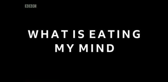 ¼Ƭʲôҵ˼ What is Eating My Mind1080Pȫ1-Ļ/Ļ