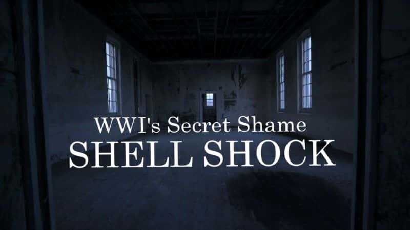 ¼Ƭһսܳ裺ڵݿ WWI's Secret Shame: Shell Shock1080P-Ļ/Ļ