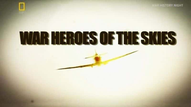 ¼Ƭ֮սӢ War Heroes Of The SkiesĻ/Ļ