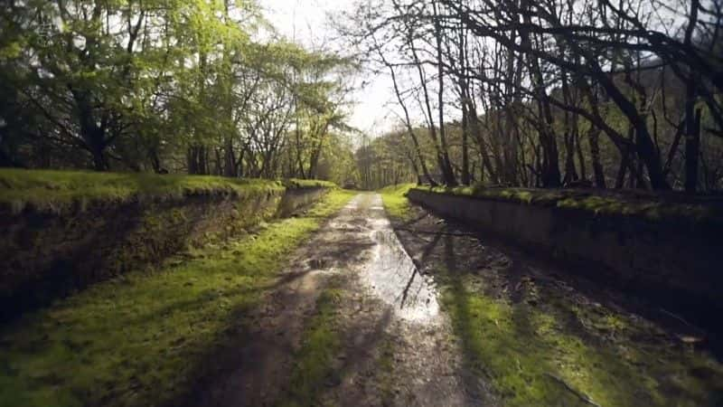 ¼ƬӢʧ·ϵ 1 Walking Britain's Lost Railways Series 11080Pȫ6-Ļ/Ļ