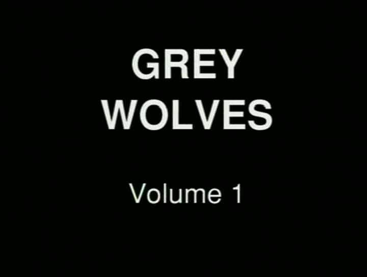 ¼Ƭս The War Archive: The Grey WolvesĻ/Ļ