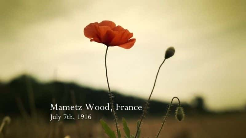 ¼Ƭʿķӣ÷֮ս Wales at the Somme: The Battle of Mametz Woodȫ1-Ļ/Ļ