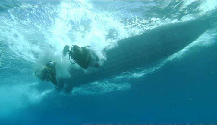 ¼Ƭ Whale Sharkȫ1-Ļ/Ļ