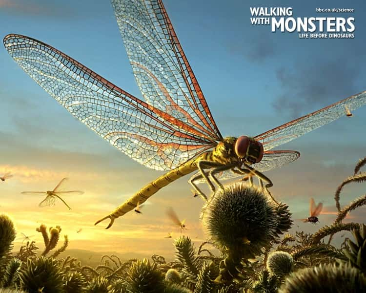 ¼Ƭͬ Walking with MonstersĻ/Ļ