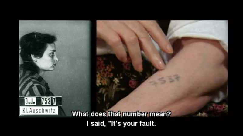 ¼Ƭ183 죺˹ 183 Days: The Auschwitz TrialĻ/Ļ