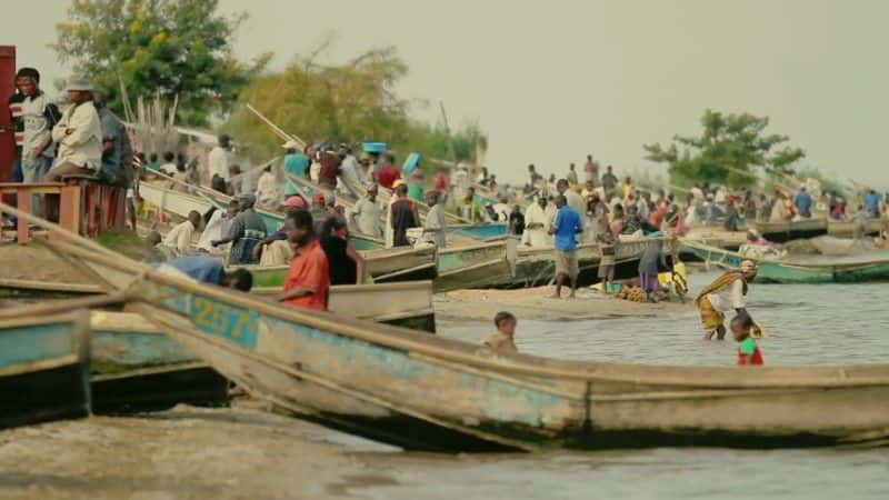 ¼Ƭά 2014 Virunga 20141080Pȫ1-Ļ/Ļ