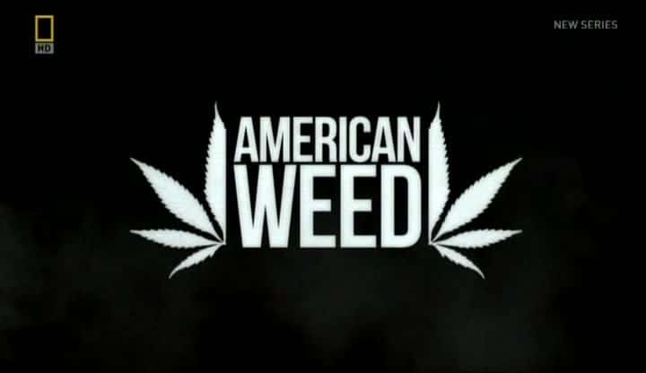 ¼ƬӲݴ Weed-Jackedȫ10-Ļ/Ļ