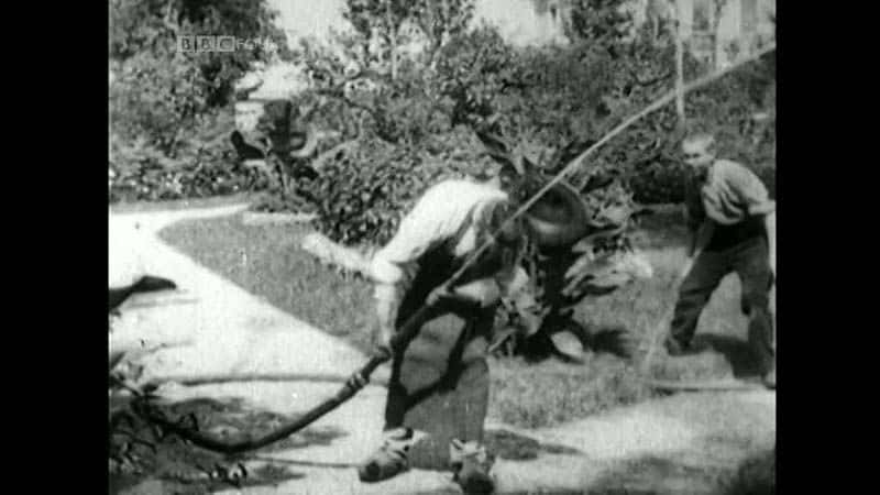 ¼ƬڵӰ Weird and Wonderful World of Early Cinema1080P-Ļ/Ļ