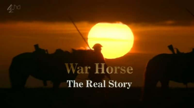 ¼ƬսʵĹ War Horse: The Real StoryĻ/Ļ