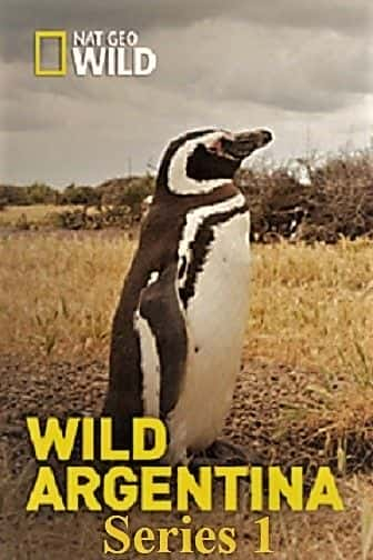 ¼ƬҰ͢ϵ 1 Wild Argentina: Series 11080P-Ļ/Ļ