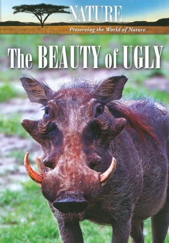 ¼Ƭª֮ The Beauty of UglyĻ/Ļ