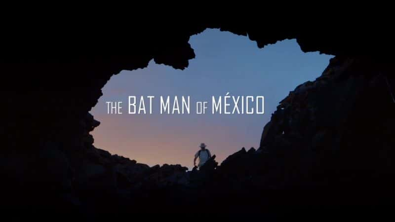 ¼Ƭī The Bat Man of Mexico1080Pȫ1-Ļ/Ļ