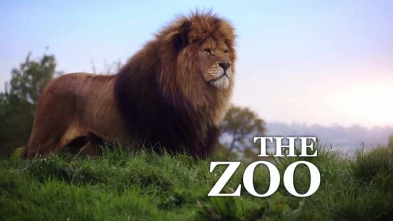 ¼Ƭ԰ϵ 4 ׶ The Zoo: Series 4 Londonȫ3-Ļ/Ļ