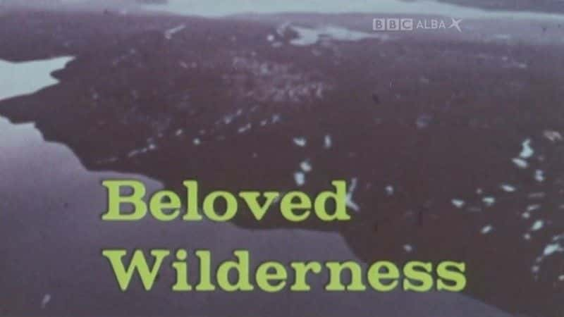 ¼ƬֿĻҰ Beloved Wilderness720Pȫ1-Ļ/Ļ