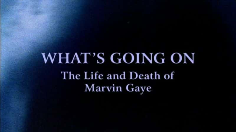 ¼Ƭʲôġ What's Going On: The Life and Death of Marvin Gayeȫ1-Ļ/Ļ