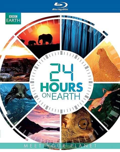 ¼Ƭ 24 Сʱϵ 1 24 Hours on Earth: Series 11080P-Ļ/Ļ