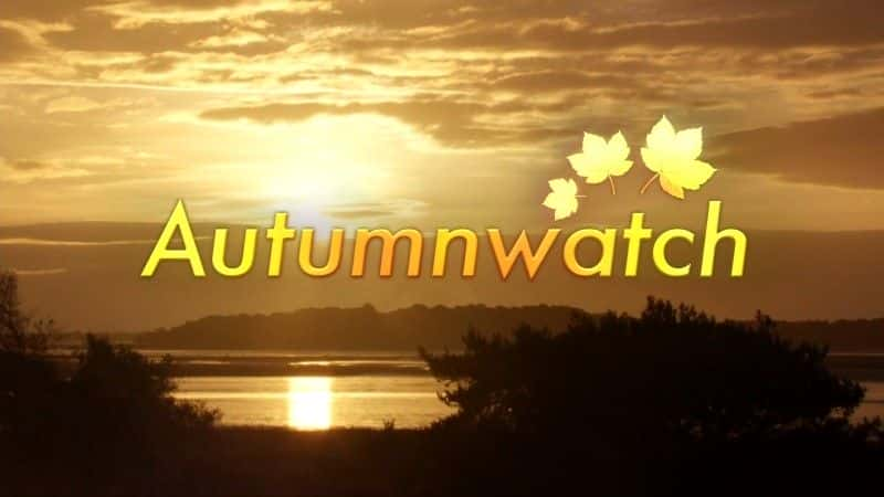 ¼Ƭ2016 ＾۲ Autumnwatch 20161080P-Ļ/Ļ