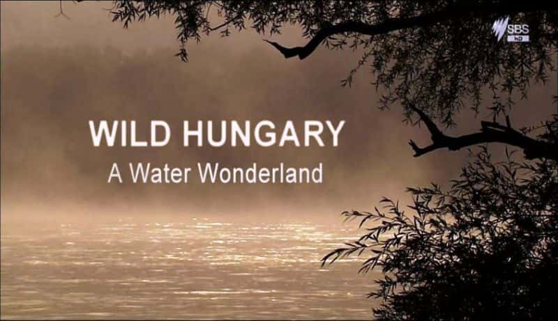 ¼ƬҰˮɾ Wild Hungary: A Water WonderlandĻ/Ļ