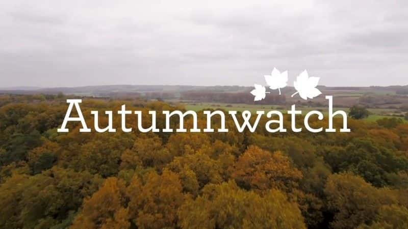 纪录片《2017 年秋季观察 Autumnwatch 2017》[无字][BT][DVD]资源下载