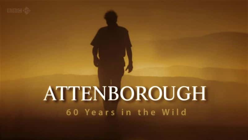 纪录片《艾登堡：野外生活 60 年 Attenborough: 60 Years in the Wild》[无字][BT][720P]资源下载