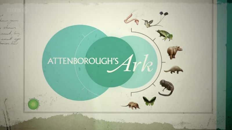 ¼Ƭշ Attenborough's Ark1080Pȫ1-Ļ/Ļ