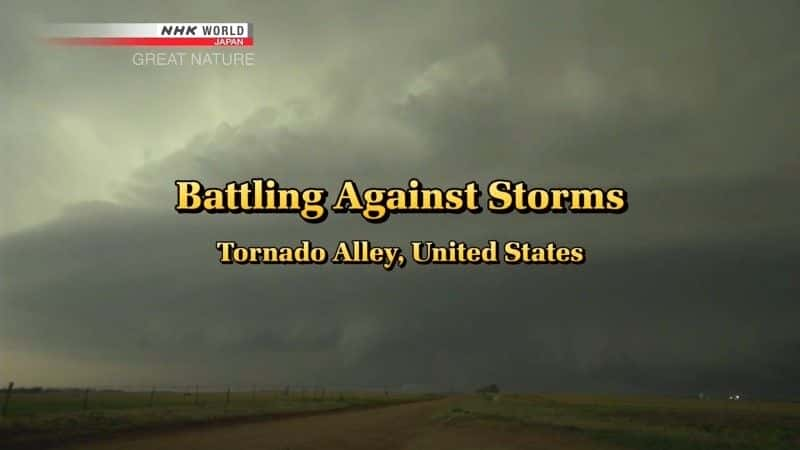 ¼ƬԿ籩 Battling Against Storms: Tornado Alleyȫ1-Ļ/Ļ