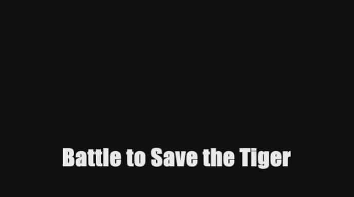 ¼Ƭϻ֮ս Battle to Save the TigerĻ/Ļ