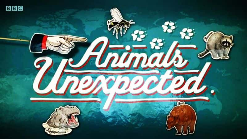 ¼Ƭ벻Ķ Animals UnexpectedĻ/Ļ