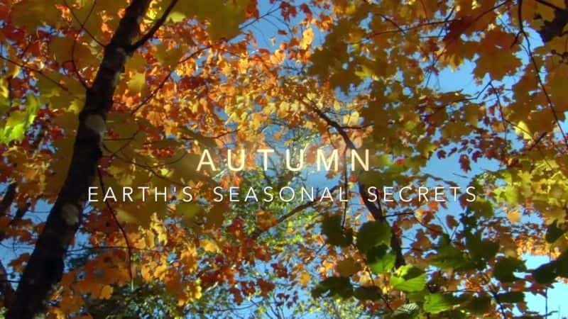 ¼Ƭ죺ļ Autumn: Earth's Seasonal SecretsĻ/Ļ