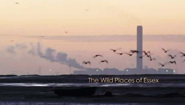 ¼Ƭ˹ĻҰ The Wild Places of Essex720P-Ļ/Ļ