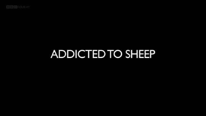 ¼Ƭ Addicted to Sheepȫ1-Ļ/Ļ